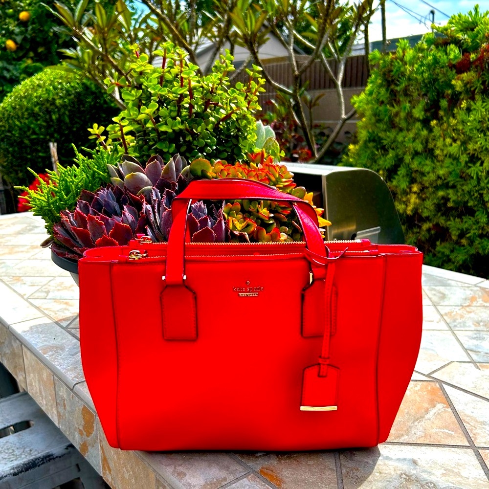 ♠️ EUC Kate Spade Prickly Pear (Red) Cameron Street Teegan Leather Bag